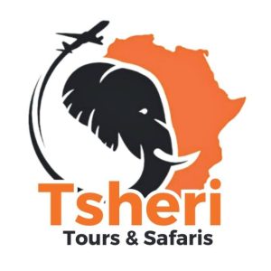 logo tsheri